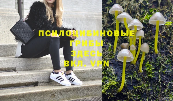 кокаин перу Ладушкин