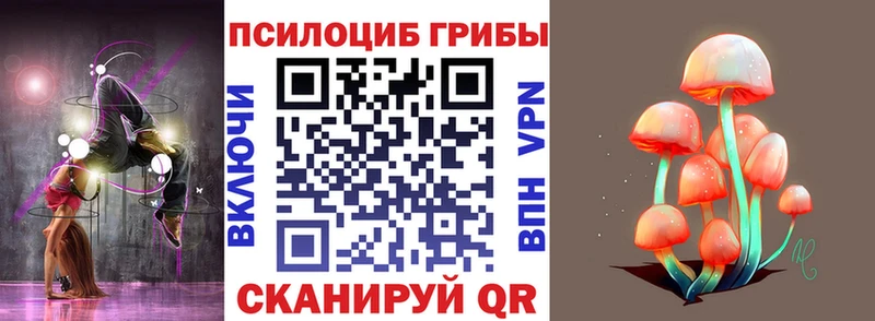 hydra вход  Юрьевец  Галлюциногенные грибы Cubensis  цена  