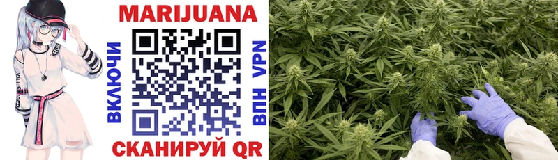 Каннабис SATIVA & INDICA  Юрьевец 